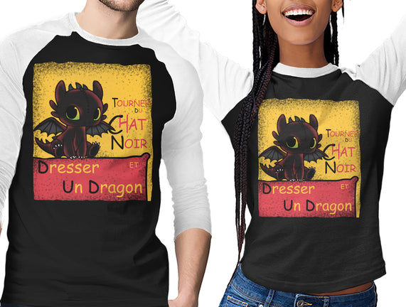 Dresser Un Dragon