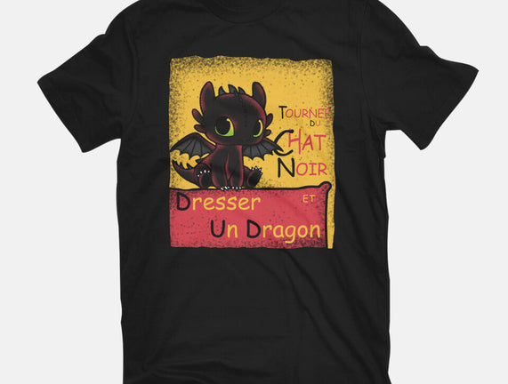 Dresser Un Dragon