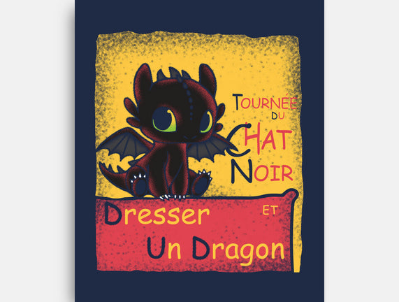 Dresser Un Dragon