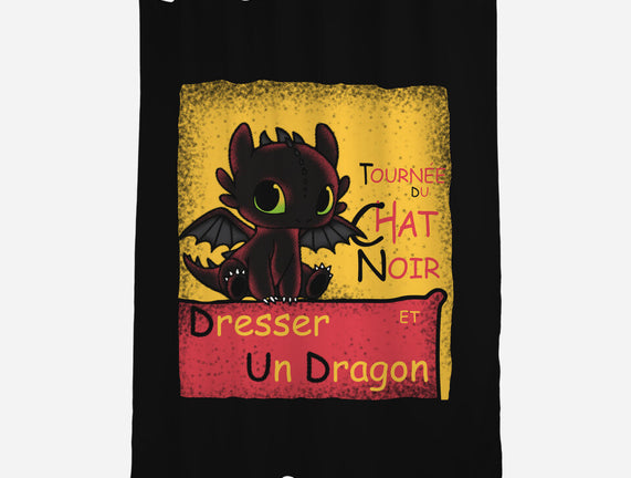 Dresser Un Dragon
