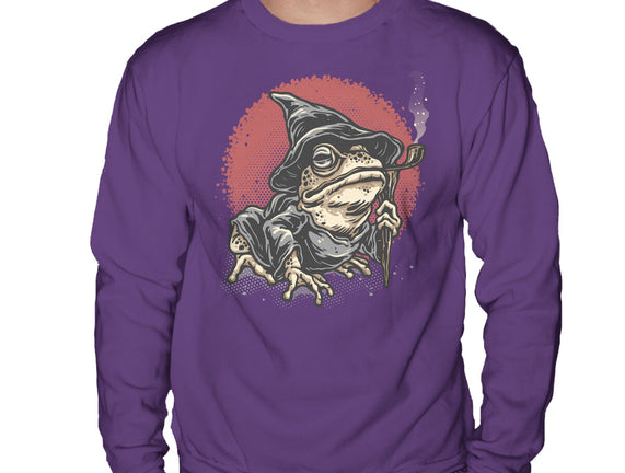 The Wizard Frog