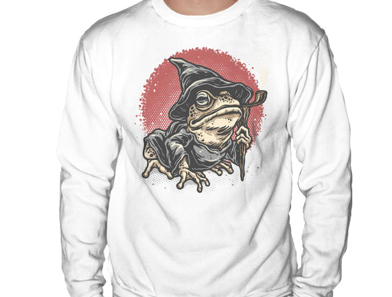 The Wizard Frog