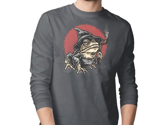 The Wizard Frog