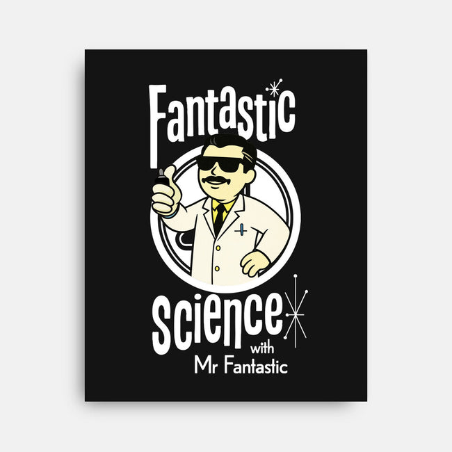 Fantastic Science With Mr. Fantastic-None-Stretched-Canvas-Wookie Mike