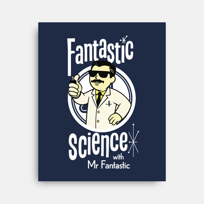 Fantastic Science With Mr. Fantastic-None-Stretched-Canvas-Wookie Mike