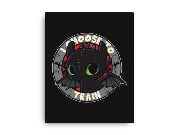I Choose To Train