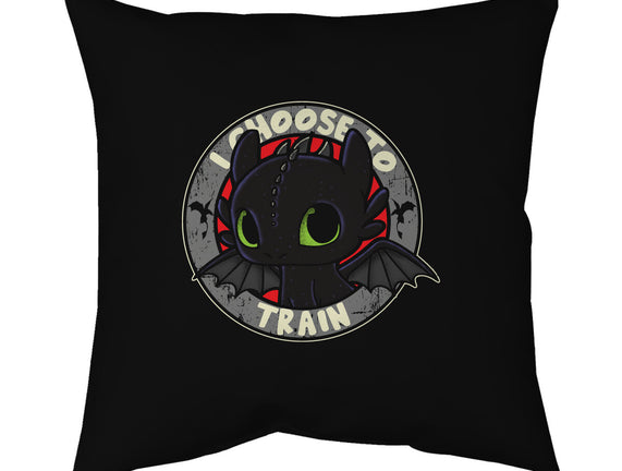 I Choose To Train