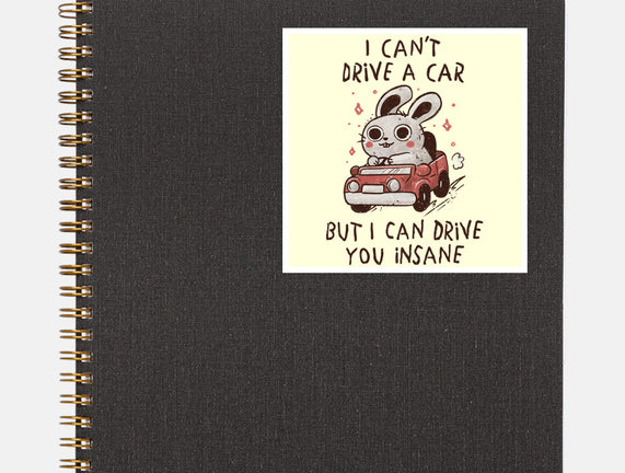 I Can Drive You Insane