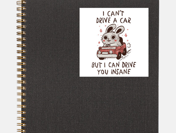 I Can Drive You Insane