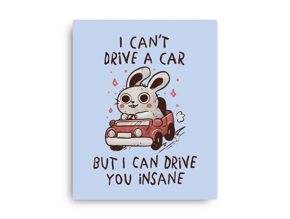 I Can Drive You Insane