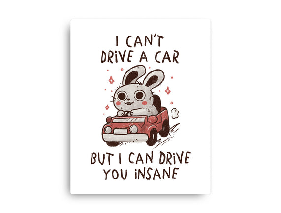 I Can Drive You Insane