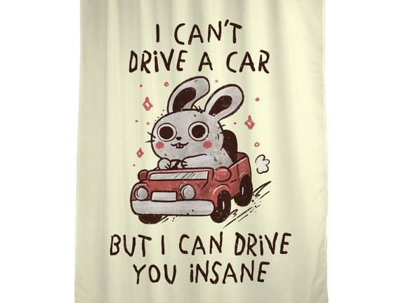I Can Drive You Insane