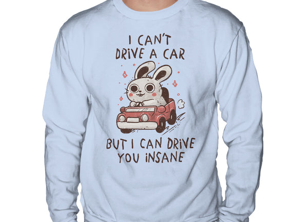 I Can Drive You Insane