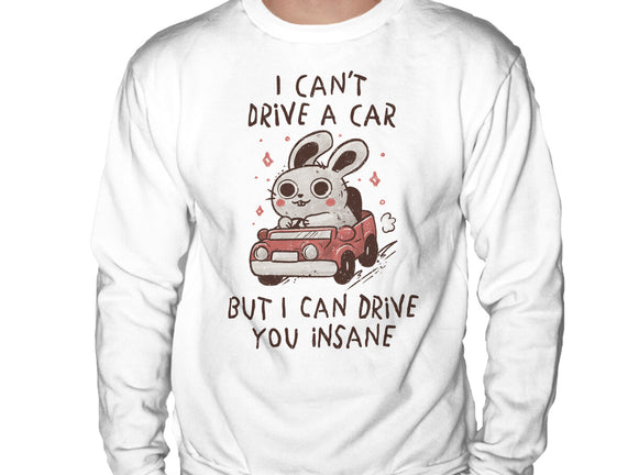 I Can Drive You Insane