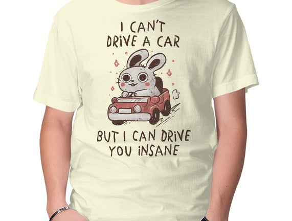 I Can Drive You Insane