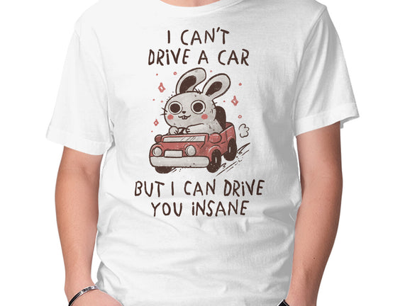 I Can Drive You Insane