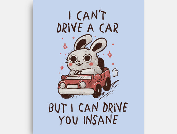 I Can Drive You Insane