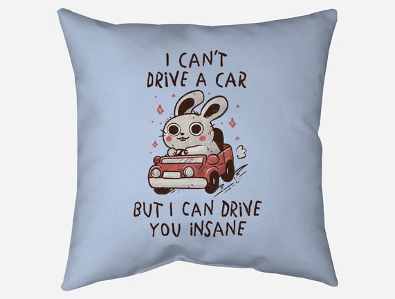 I Can Drive You Insane