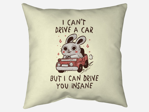 I Can Drive You Insane