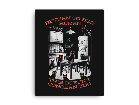 Return To Bed Human