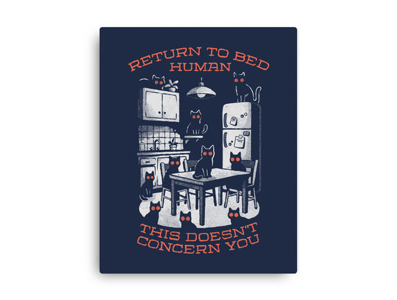 Return To Bed Human