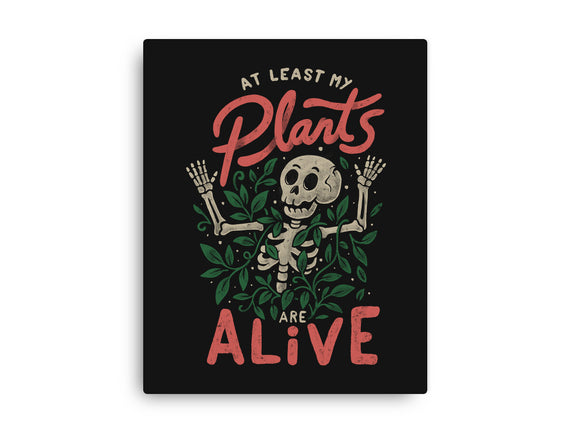 At Least My Plants Are Alive