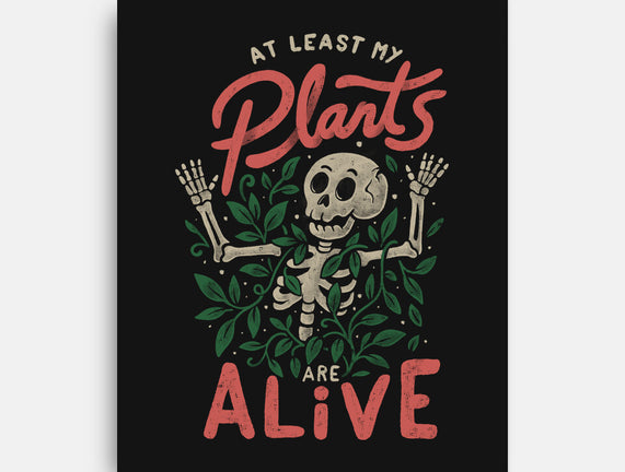 At Least My Plants Are Alive