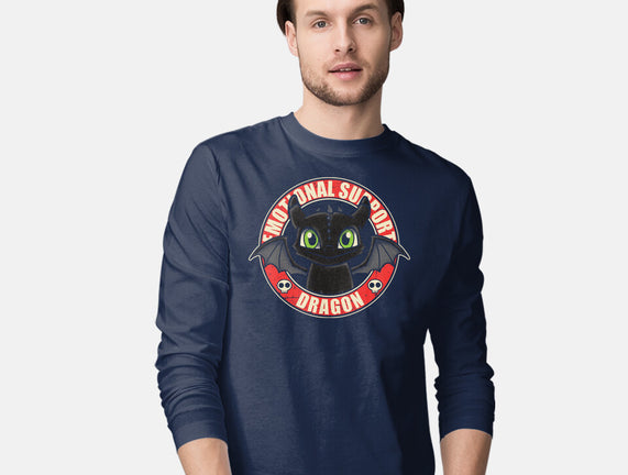 An Emotional Support Dragon