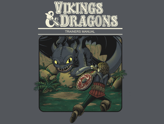 Vikings And Dragons