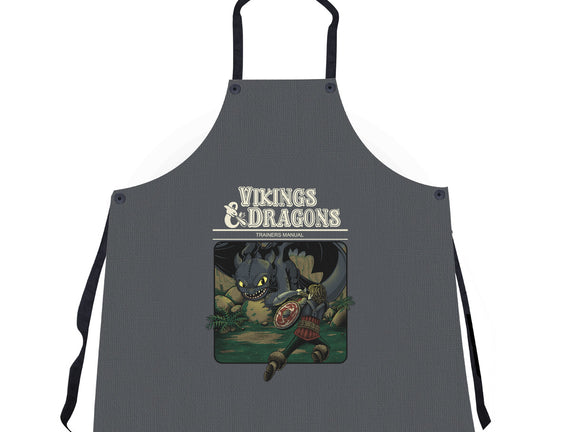Vikings And Dragons