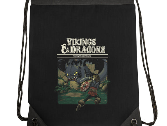 Vikings And Dragons