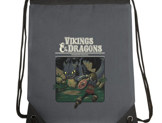 Vikings And Dragons