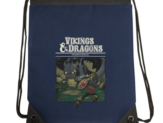 Vikings And Dragons