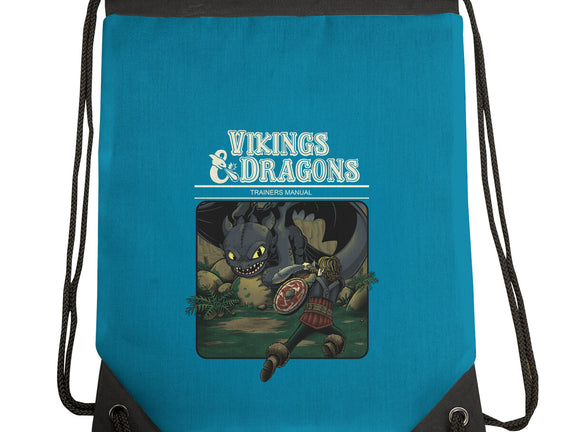 Vikings And Dragons