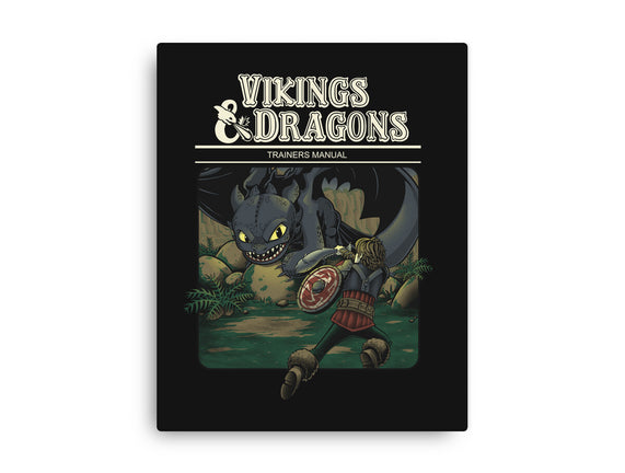 Vikings And Dragons