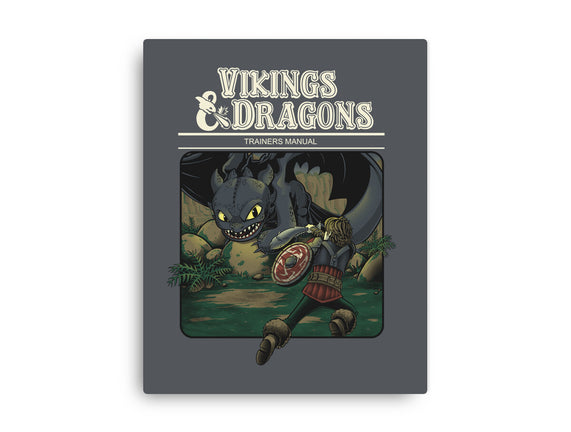 Vikings And Dragons
