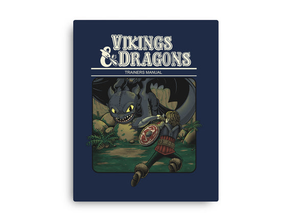 Vikings And Dragons