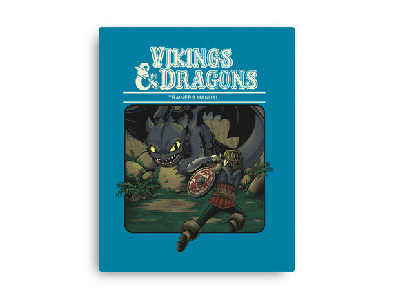 Vikings And Dragons