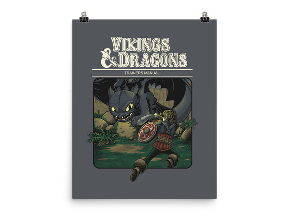 Vikings And Dragons