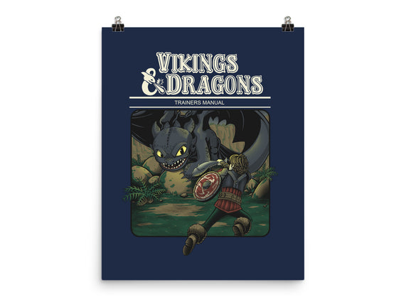 Vikings And Dragons