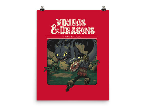 Vikings And Dragons