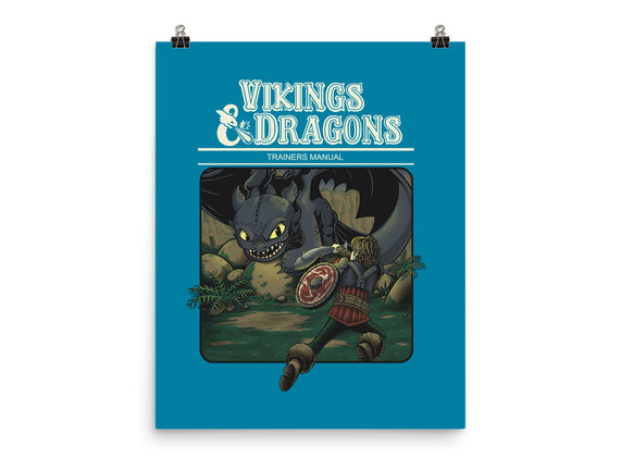 Vikings And Dragons