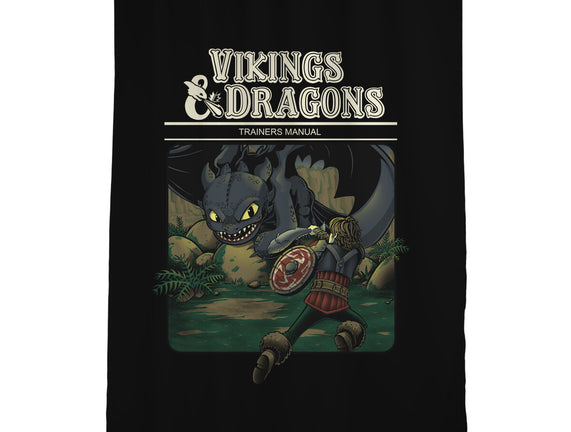 Vikings And Dragons