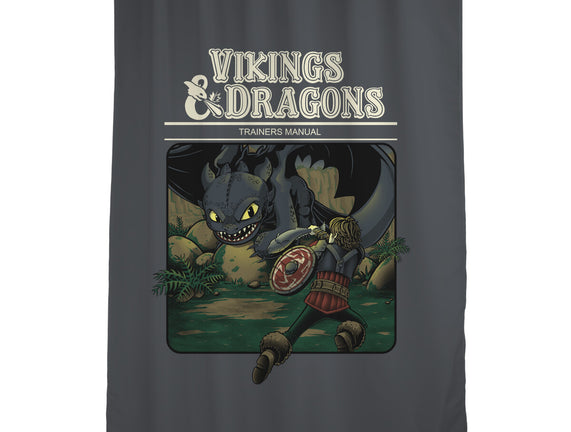 Vikings And Dragons
