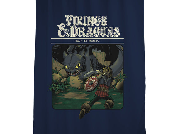 Vikings And Dragons