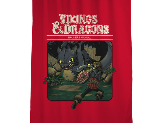 Vikings And Dragons