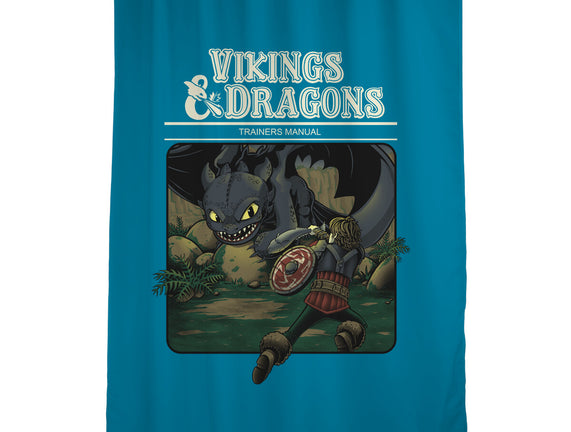 Vikings And Dragons