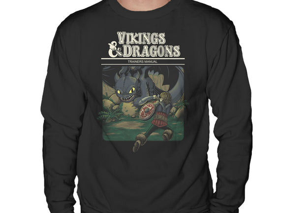 Vikings And Dragons