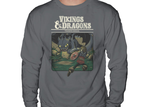 Vikings And Dragons