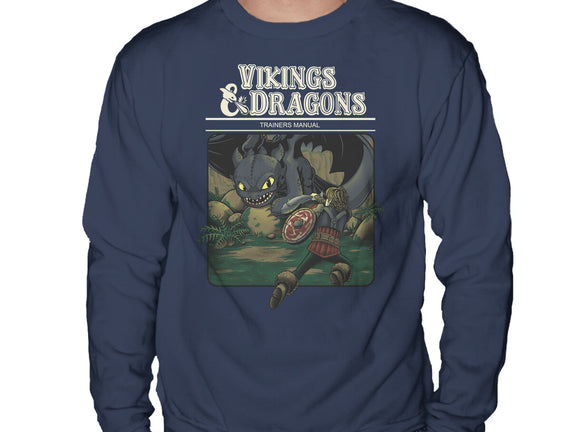 Vikings And Dragons
